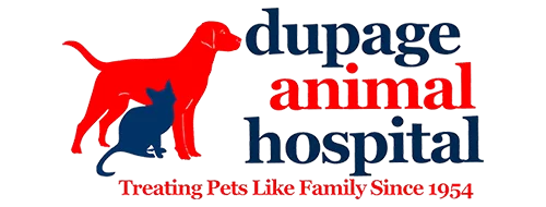 DuPage Animal Hospital